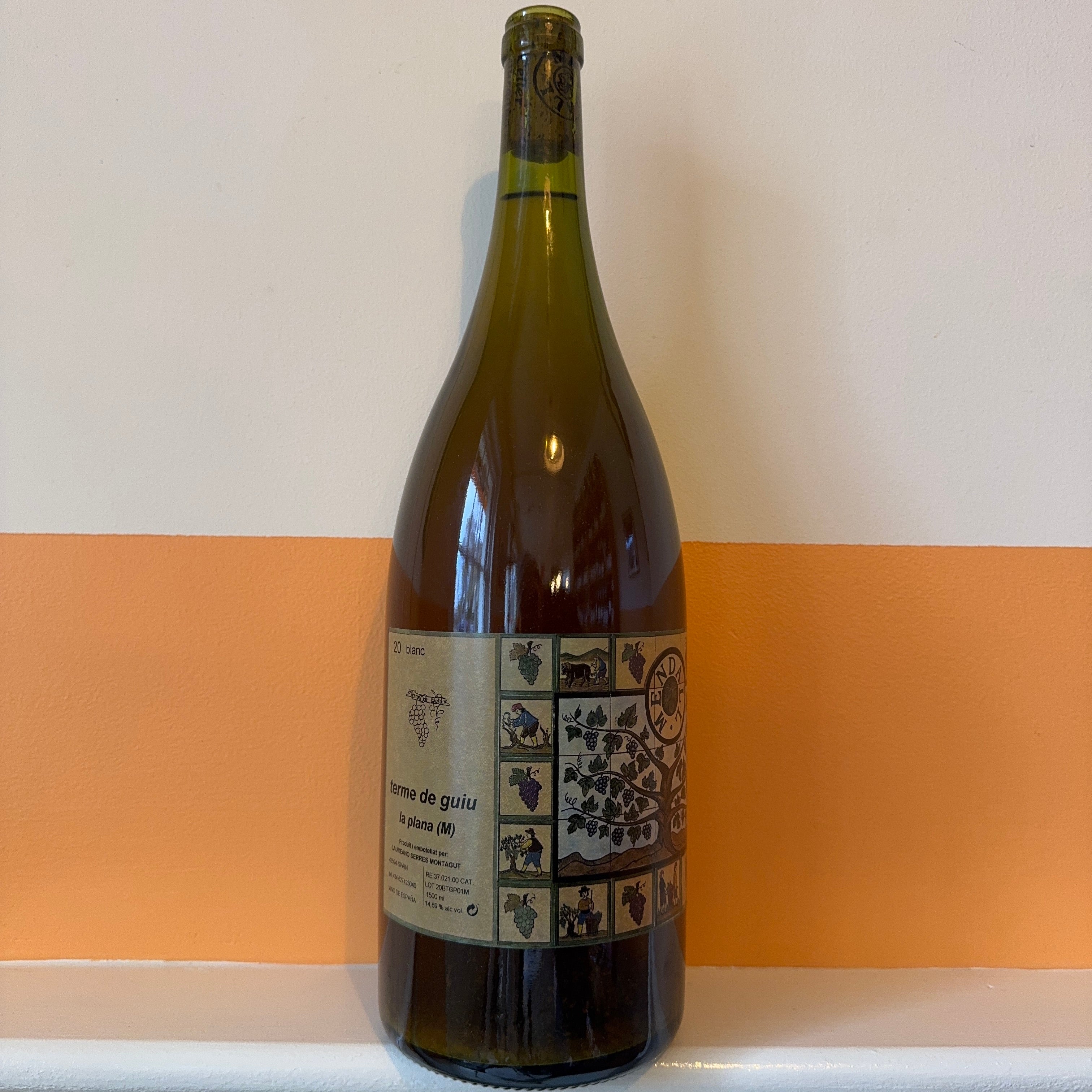 Mendall - Terme de Guiu La Plana 2020 MAG