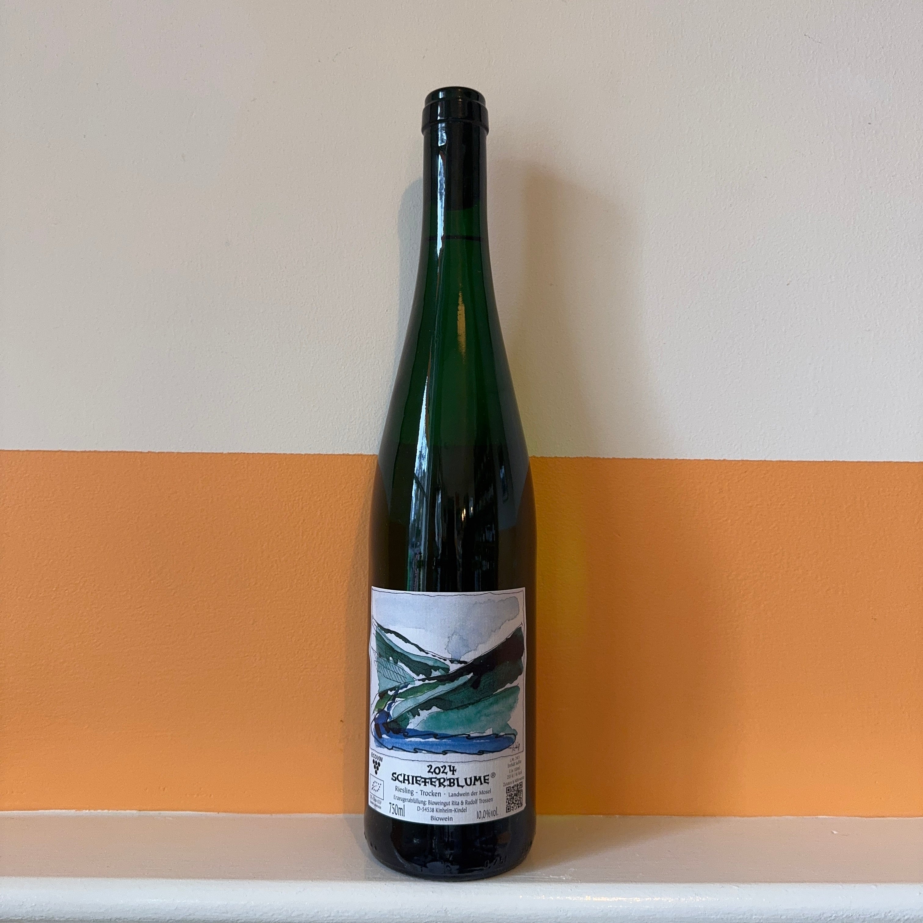 Trossen - Schieferblume 2024