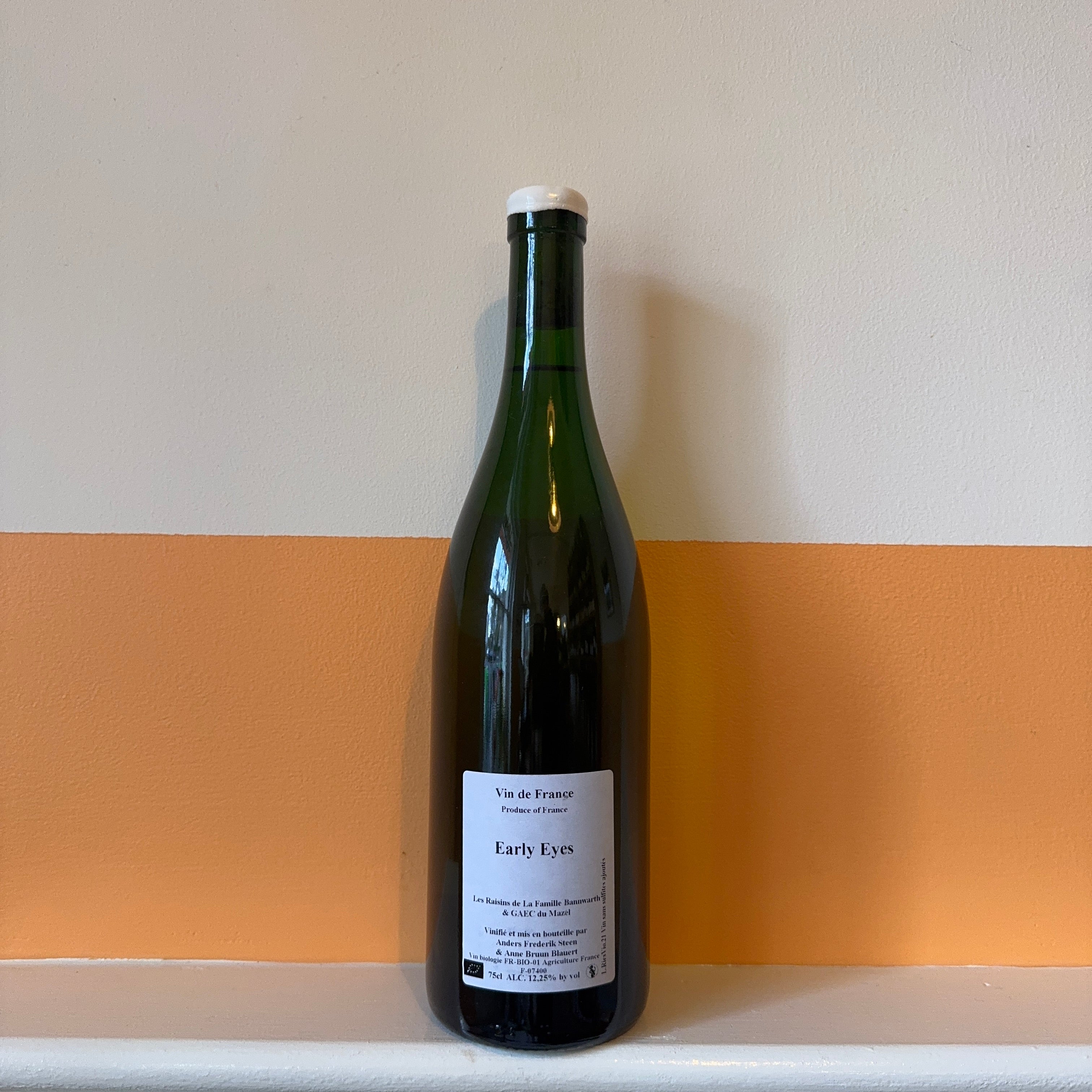 Anders Steen - Early Eyes 2021