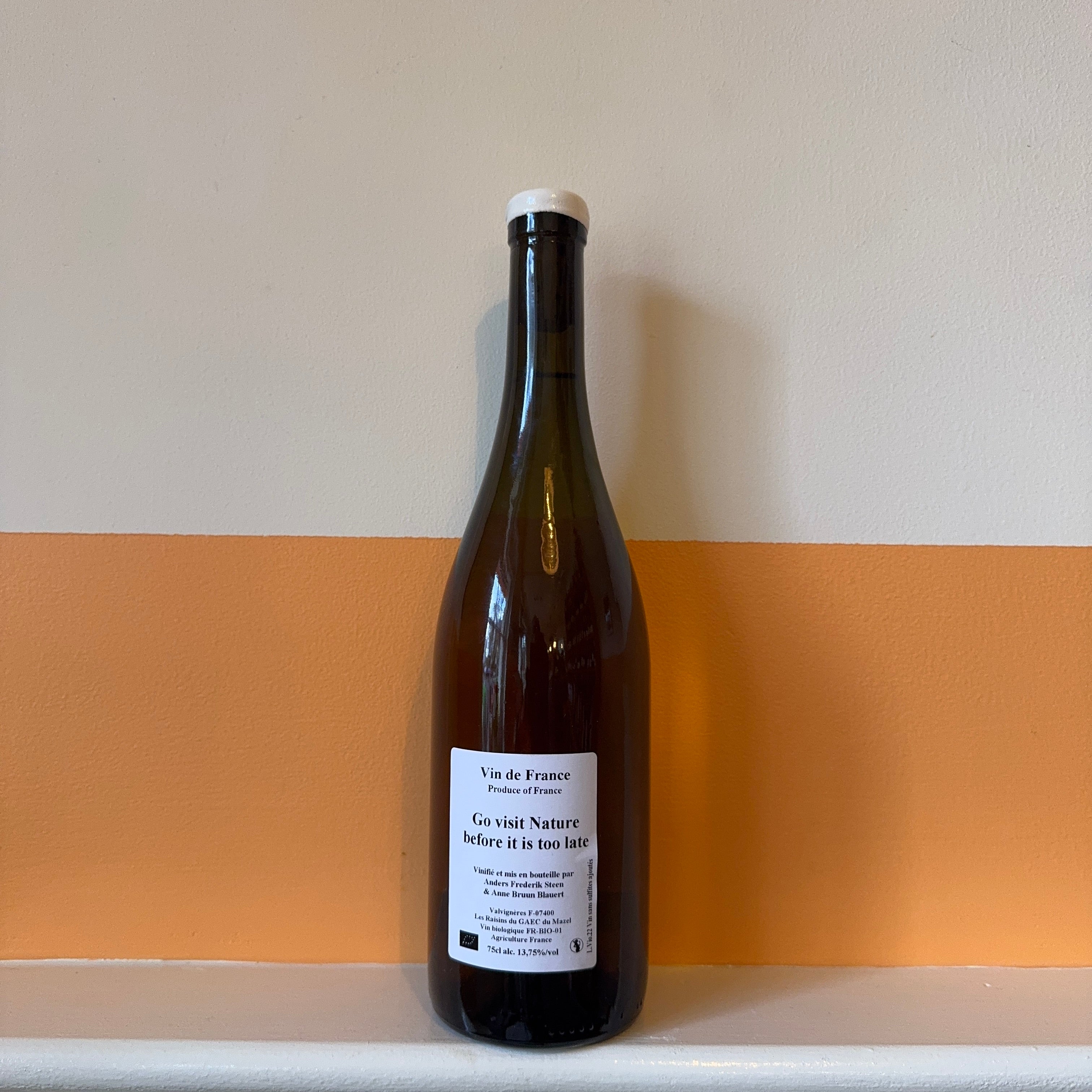 Anders Steen - Go visit nature before it is... 2022