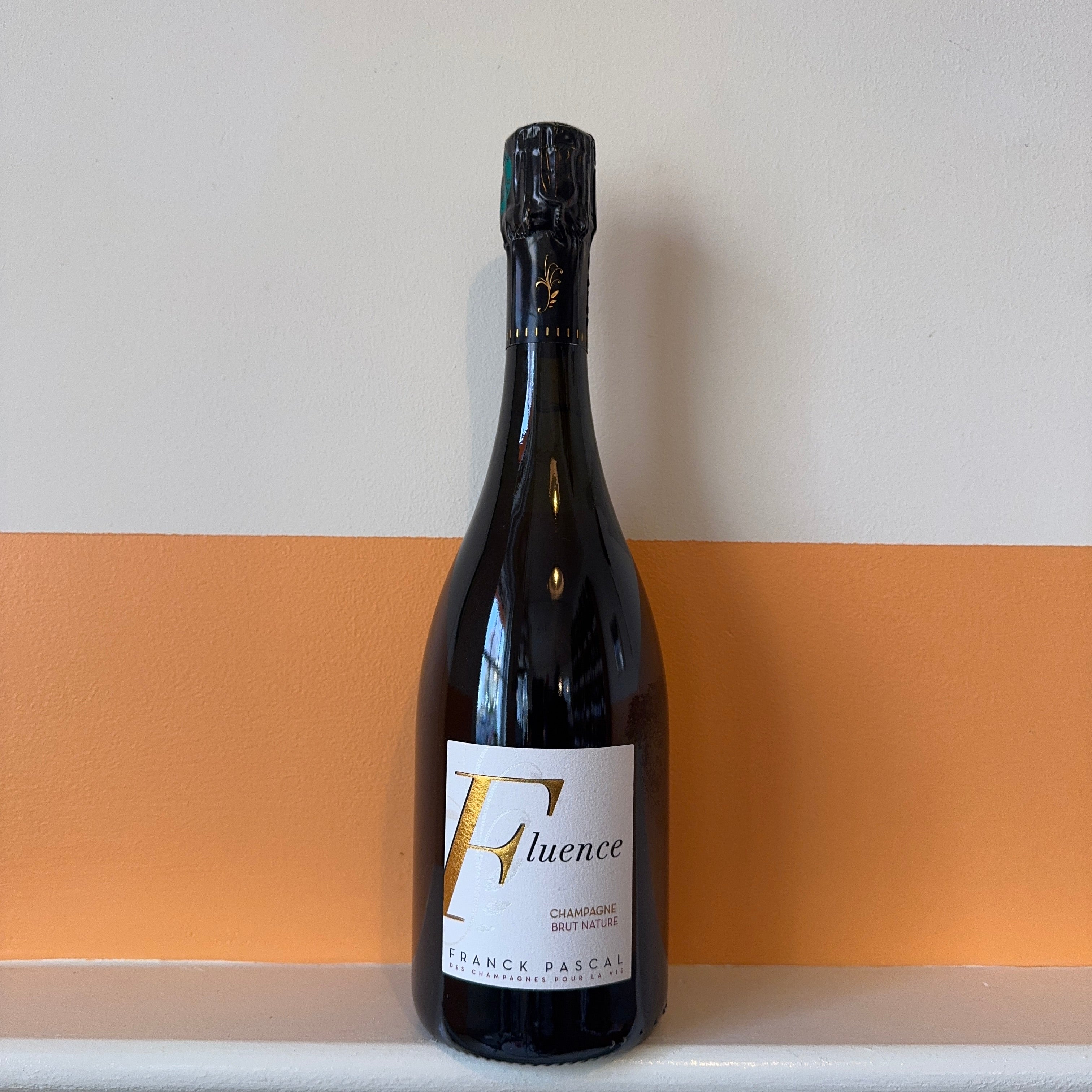 Franck Pascal - Fluence NV