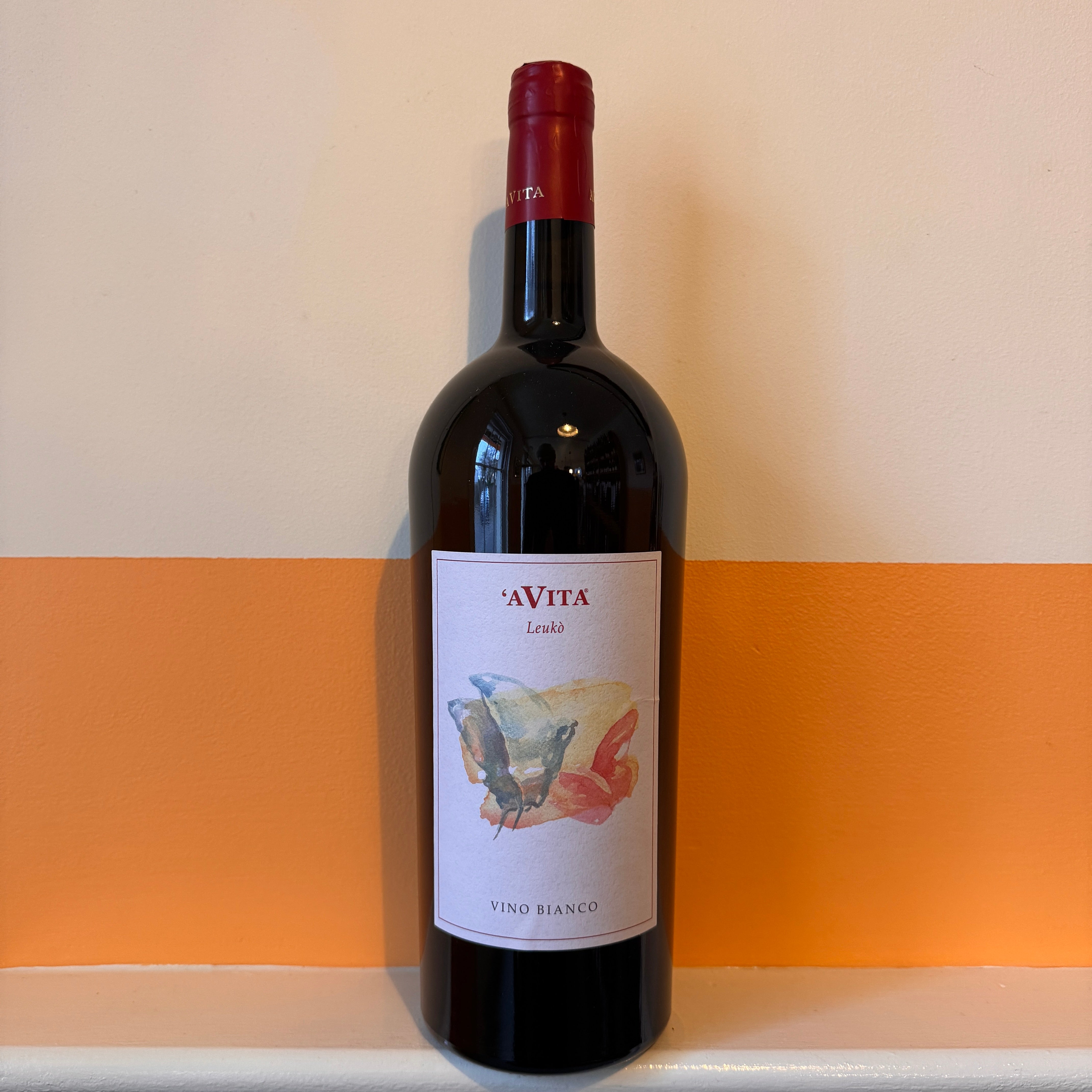 Avita - Leuko 2024 MAG