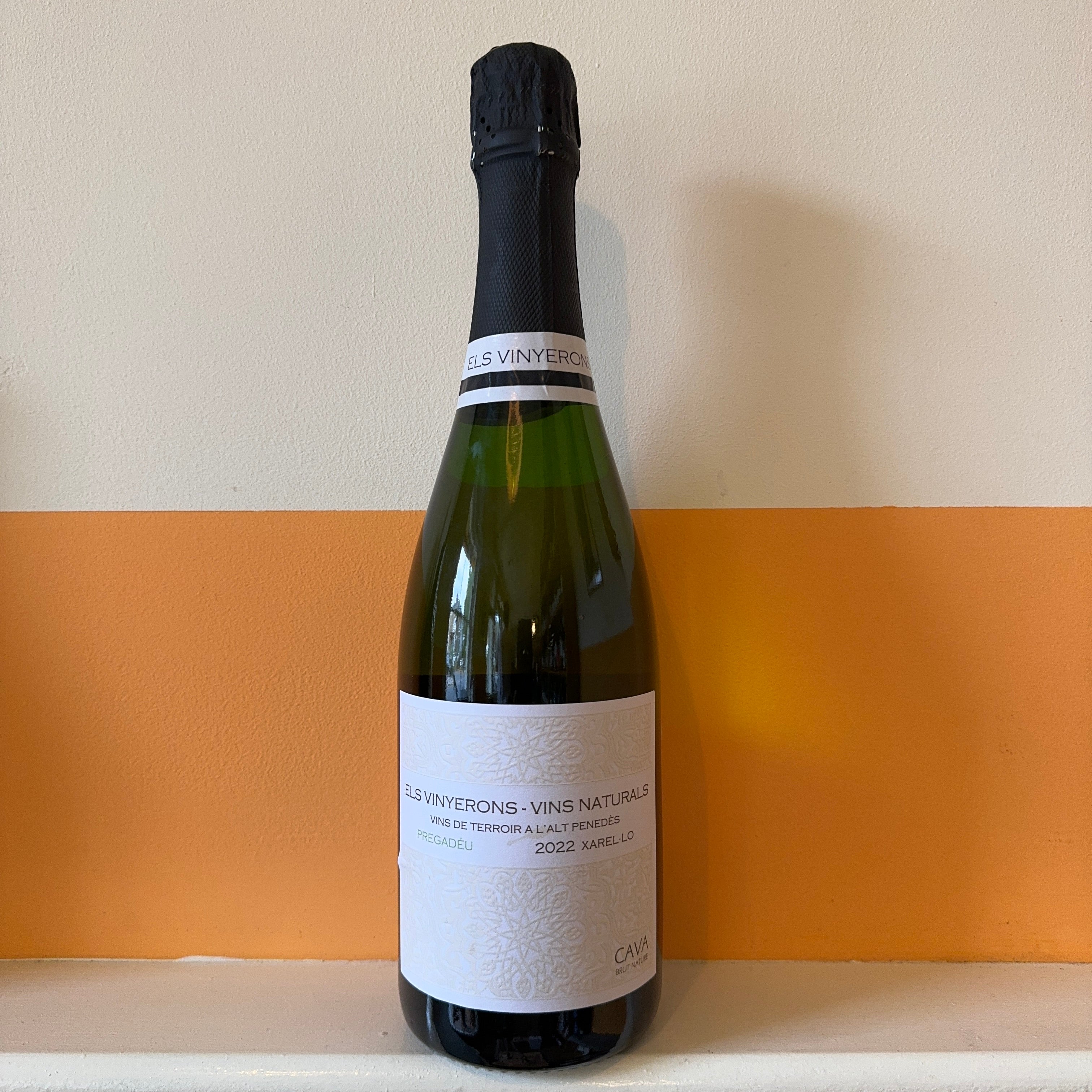 Els Vinyerons - Pregadeu 2023