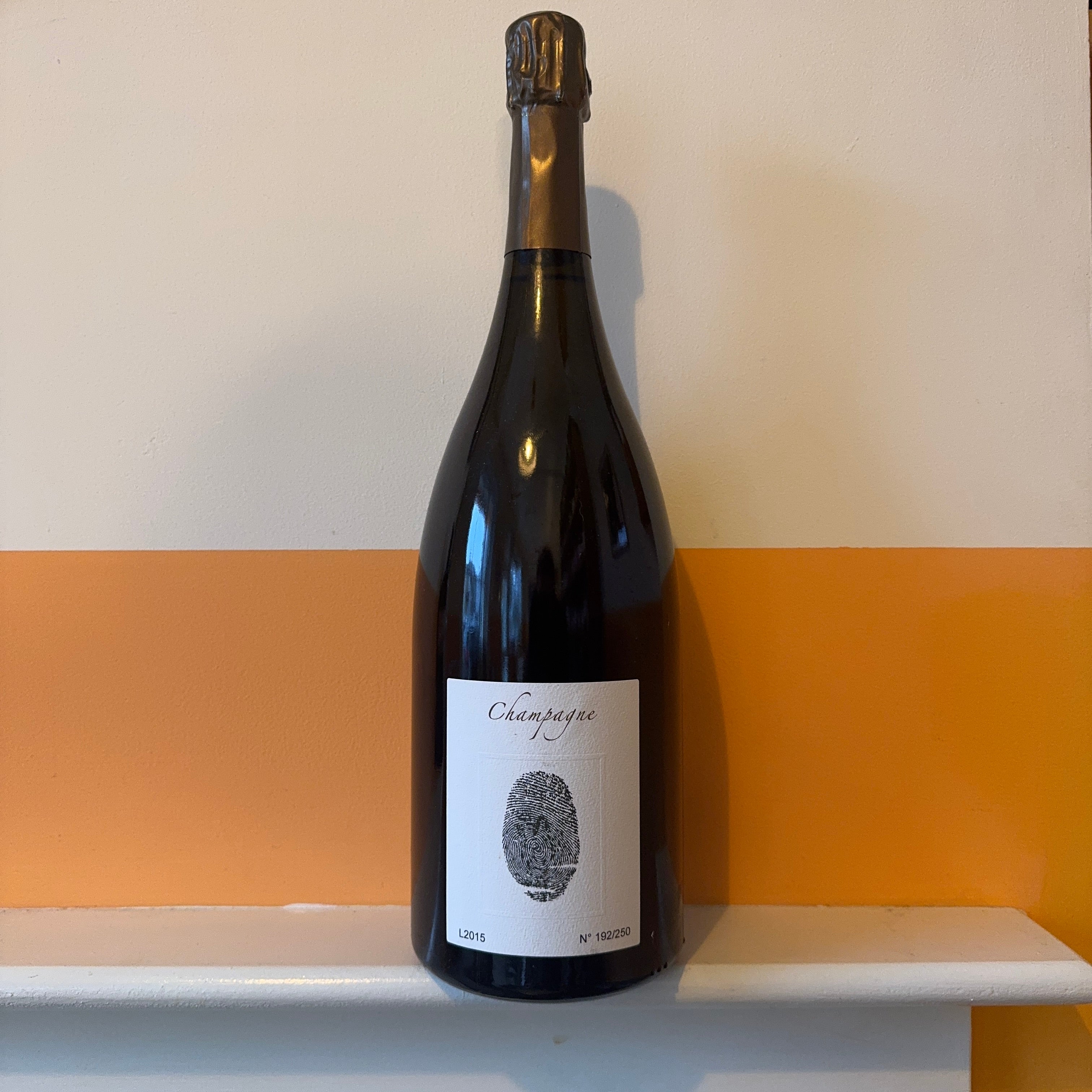 Emmanuel Brochet - Le Mont Blanc 15 Magnum