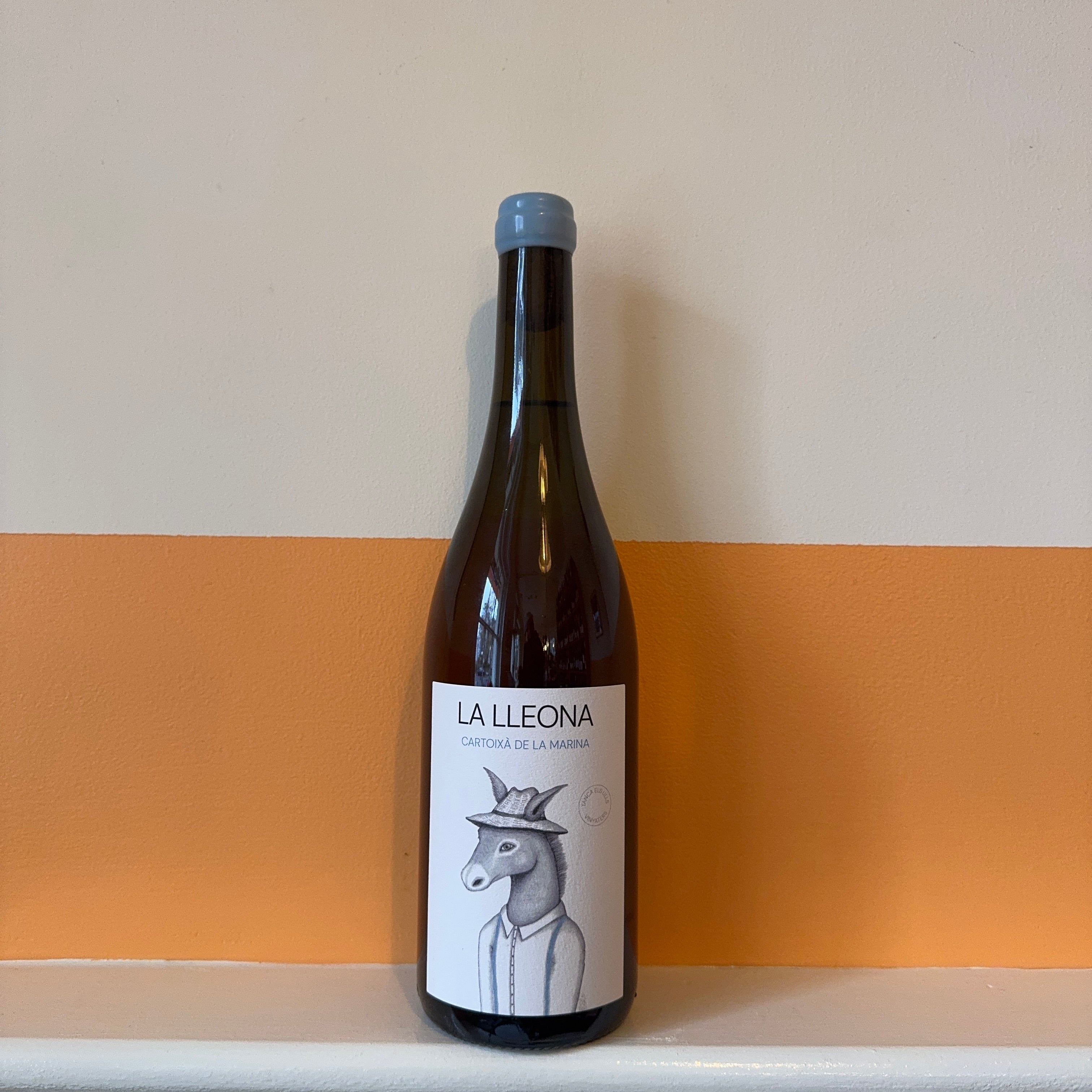 Tanca els Ulls - Cartoixa La Lleona 2024