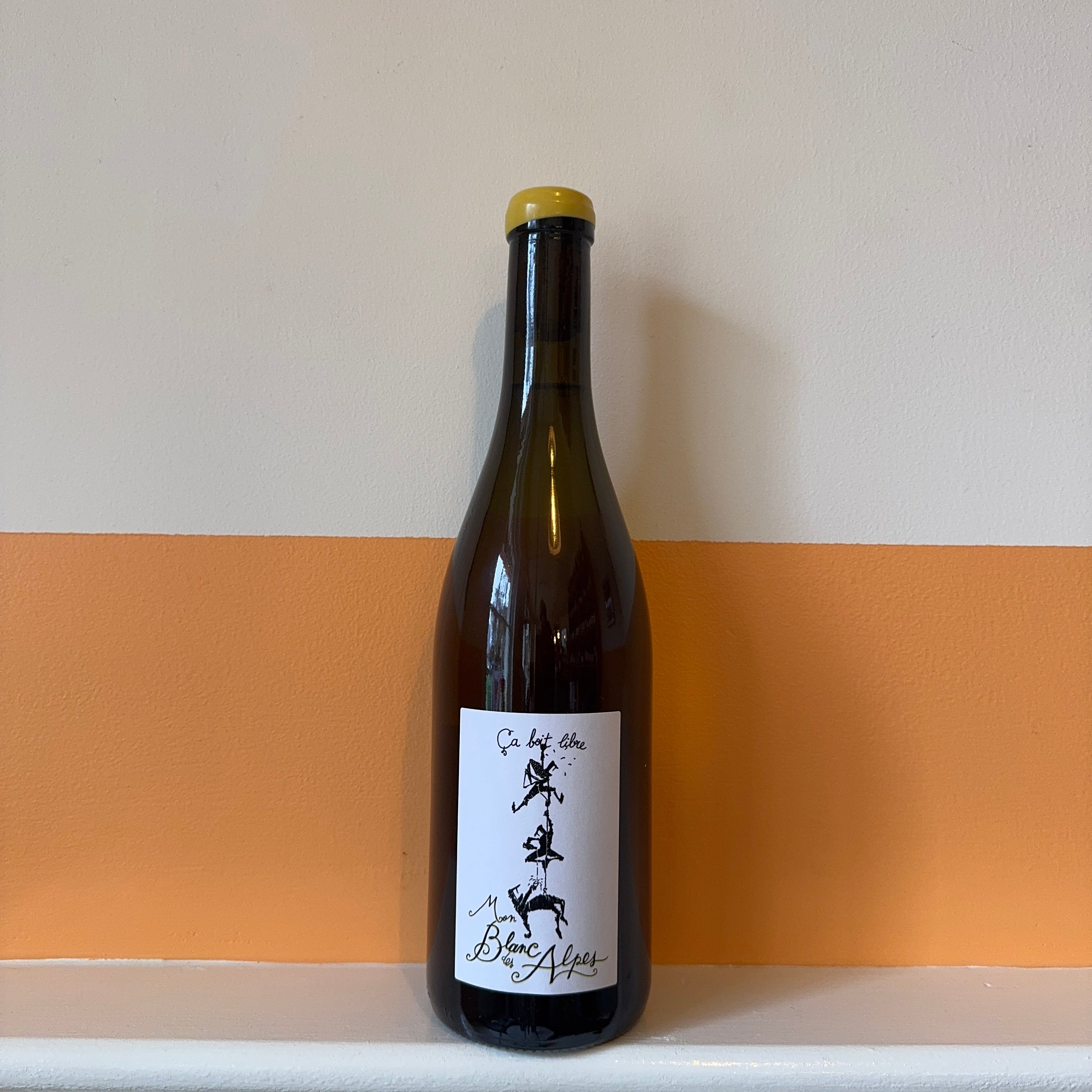 Damien Bastian Goddard - Mon Blanc des Alpes 2023