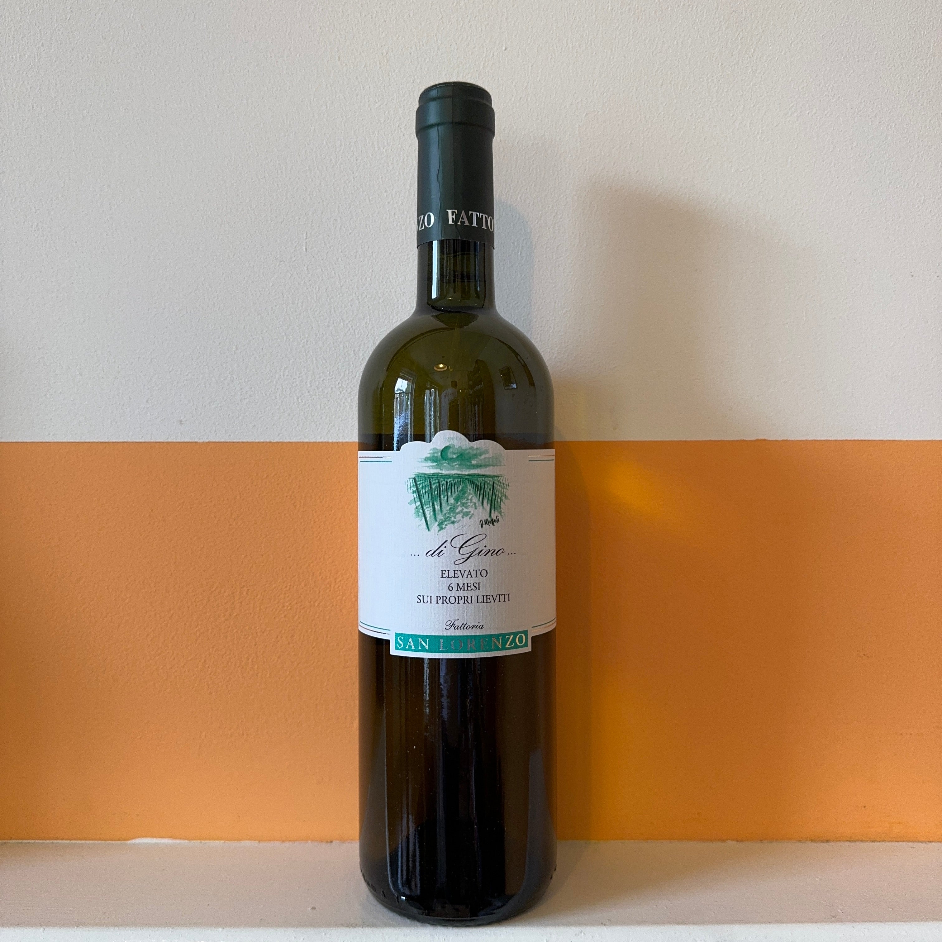 San Lorenzo - Di Gino Verdicchio 2024